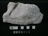 中文名:大理岩(NMNS004105-P008310)英文名:Marble(NMNS004105-P008310)