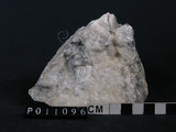 中文名:大理岩(NMNS004660-P011096)英文名:Marble(NMNS004660-P011096)