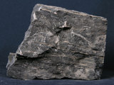 中文名:大理岩(NMNS004680-P011266)英文名:Marble(NMNS004680-P011266)