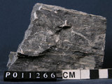 中文名:大理岩(NMNS004680-P011266)英文名:Marble(NMNS004680-P011266)