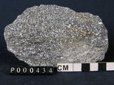 中文名:角閃岩(NMNS000098-P000434)英文名:Amphibolite(NMNS000098-P000434)