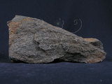 中文名:斜長角閃岩(NMNS004665-P011596)英文名:Amphibolite(NMNS004665-P011596)