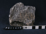 中文名:麻粒岩(NMNS002668-P011439)英文名:Granulite(NMNS002668-P011439)