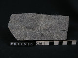 中文名:麻粒岩(NMNS004665-P011616)英文名:Granulite(NMNS004665-P011616)