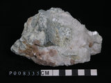 中文名:蛇紋岩(NMNS004105-P008335)英文名:Serpentinite(NMNS004105-P008335)