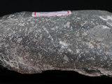 中文名:蛇紋岩(NMNS004105-P008399)英文名:Serpentinite(NMNS004105-P008399)