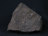 中文名:糜嶺岩(NMNS002668-P011475)英文名:Mylonite(NMNS002668-P011475)