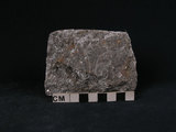 中文名:混合岩(NMNS000098-P000437)英文名:Migmatite(NMNS000098-P000437)
