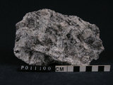 中文名:混合岩(NMNS004660-P011100)英文名:Migmatite(NMNS004660-P011100)