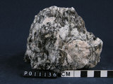 中文名:混合岩(NMNS004661-P011136)英文名:Migmatite(NMNS004661-P011136)