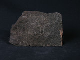 中文名:榴閃岩(NMNS004665-P011571)英文名:Eclogite amphibolite(NMNS004665-P011571)