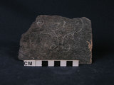 中文名:榴閃岩(NMNS004665-P011571)英文名:Eclogite amphibolite(NMNS004665-P011571)