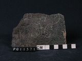 中文名:榴閃岩(NMNS004665-P011571)英文名:Eclogite amphibolite(NMNS004665-P011571)