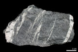 中文名:硬頁岩(NMNS000480-P002381)英文名:Argillite(NMNS000480-P002381)