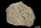 中文名:花崗片麻岩(NMNS002992-P005975)英文名:Granite gneiss(NMNS002992-P005975)