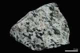 中文名:片麻岩(NMNS004376-P008940)英文名:Gneiss(NMNS004376-P008940)