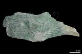中文名:透閃石片岩(NMNS002344-P005634)英文名:Tremolite schist(NMNS002344-P005634)
