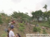 2013~Wg?~ 12