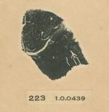 甲骨文拓片（登錄號：188477-0223）