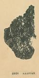 甲骨文拓片（登錄號：188477-2831）