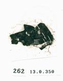 甲骨文拓片（登錄號：188571-0262）
