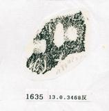 甲骨文拓片（登錄號：188571-1635）