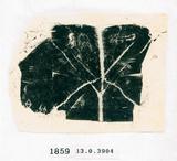 甲骨文拓片（登錄號：188571-1859）