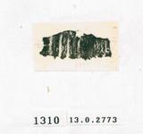 甲骨文拓片（登錄號：188571-1310）