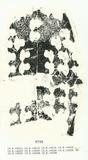 甲骨文拓片（登錄號：188575-6799）
