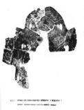 甲骨文拓片（登錄號：188493-0571）