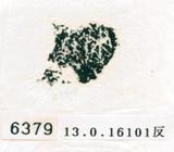 甲骨文拓片（登錄號：188579-6379）