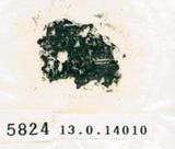 甲骨文拓片（登錄號：188579-5824）