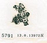 甲骨文拓片（登錄號：188579-5791）