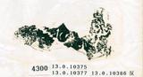 甲骨文拓片（登錄號：188578-4300）