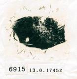 甲骨文拓片（登錄號：188579-6915）