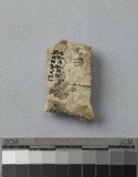 遺物:龜甲卜辭殘片