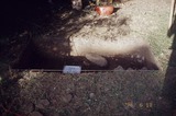 發掘記錄:鵝鑾鼻第二遺址第三次發掘A區第八坑L5坑底照