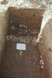 發掘記錄:鵝鑾鼻第二遺址第三次發掘A區第八坑L12坑底局部照