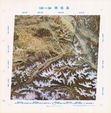 �a�ϦW��:161-34���K�\