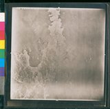 Ƚs:06-AFR-232-VT