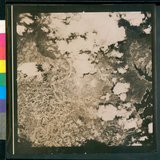 Ƚs:06-AFR-233-VT