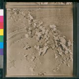 Ƚs:06-AFR-237-VT