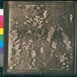 Ƚs:06-AFR-237-VT