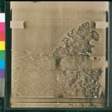 Ƚs:06-AFR-237-VT