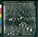 Ƚs:06-AFR-238-VT