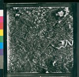 Ƚs:06-AFR-238-VT