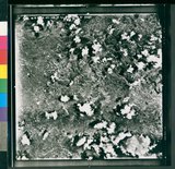 Ƚs:06-AFR-238-VT