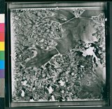 Ƚs:06-AFR-238-VT