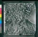 Ƚs:06-AFR-238-VT