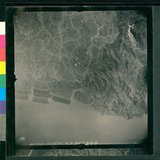 ���Ƚs��:12-1195